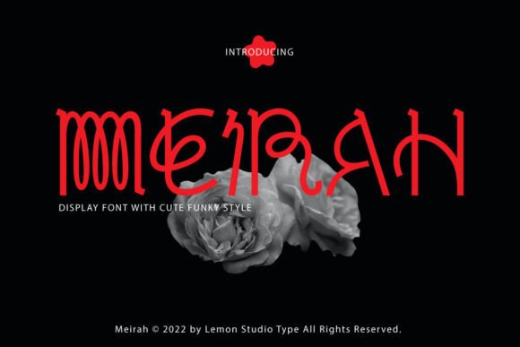 Meirah: A Unique Display Typeface for Bold Web Design