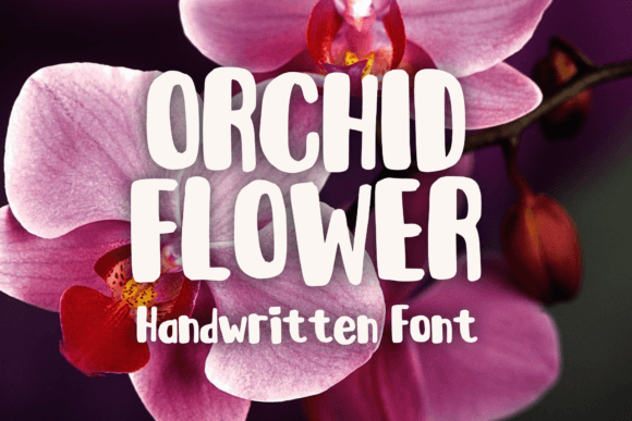 Orchid Flower: The Display Typeface That Elevates Campaign Creativity